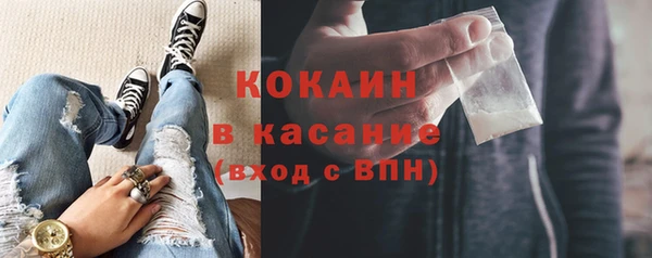 твердый Арсеньев