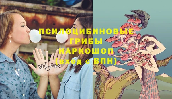 дмт Армянск