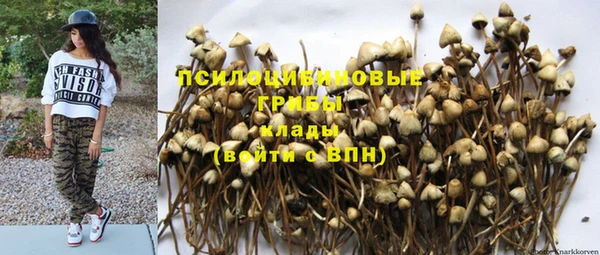 дмт Армянск