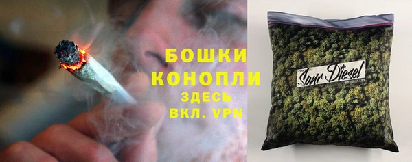 твердый Арсеньев