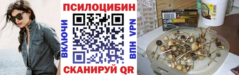 закладка  Сасово  Галлюциногенные грибы мицелий 